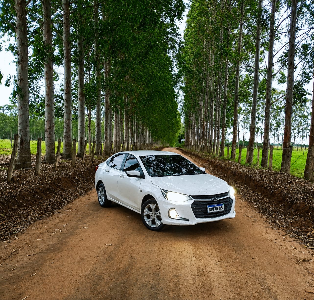 Veículo da frota RF Transfer em estrada arborizada
